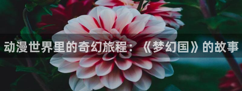 age动漫网上看