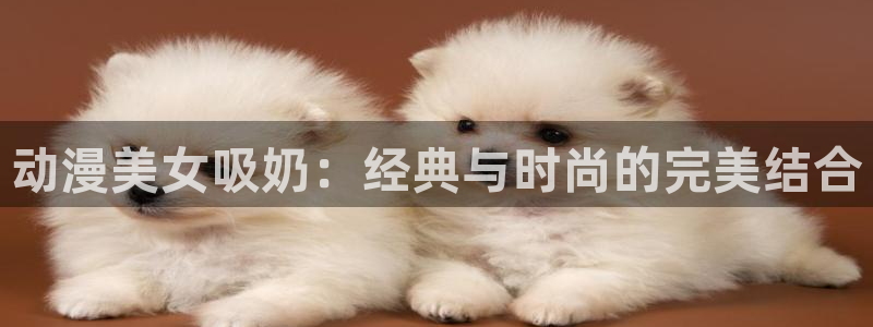 age动漫