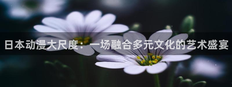 age动漫官网版入口