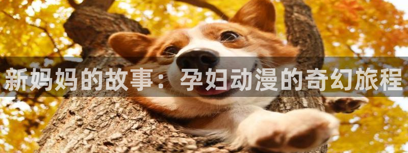age动漫官网在线入口