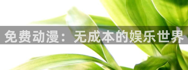 拷贝漫画 copymanager.ory网站