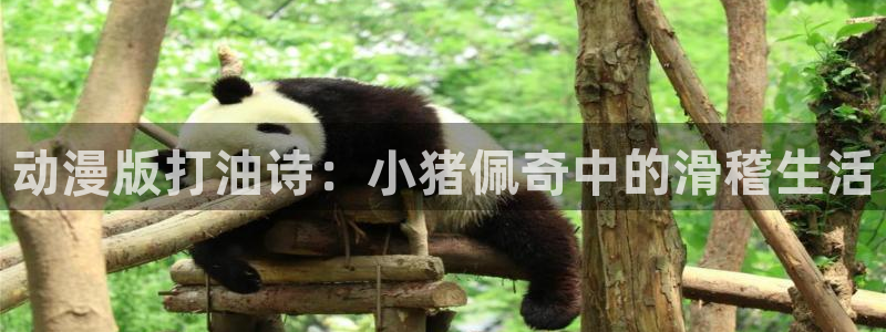 age动漫网官网入口