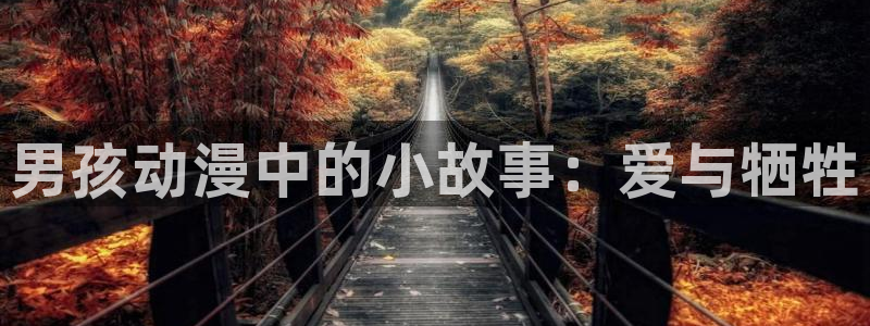 age动漫官网入口老版本