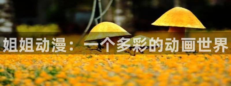 拷贝漫画 copymanager.ory网站
