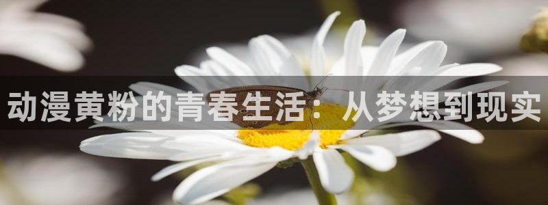 age动漫官网在线入口
