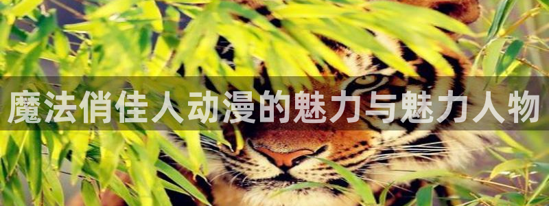 stagenehind韩漫免费观看