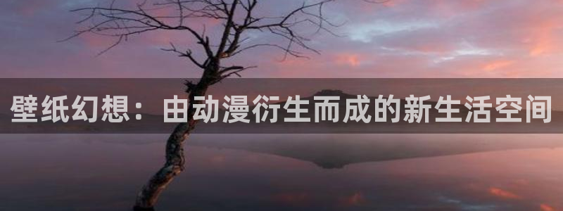 age专注动漫的门户网站