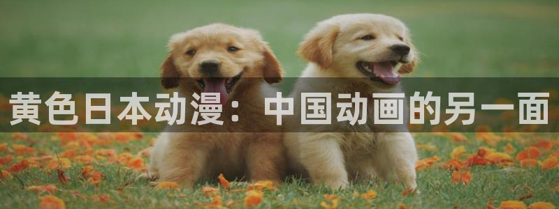 age动漫官网版入口