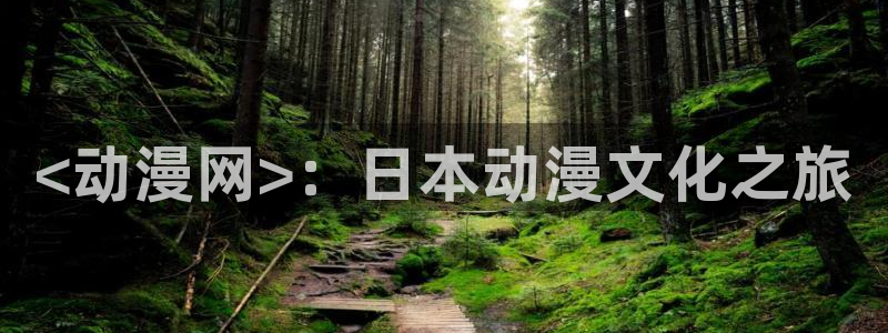 age动漫下载入口
