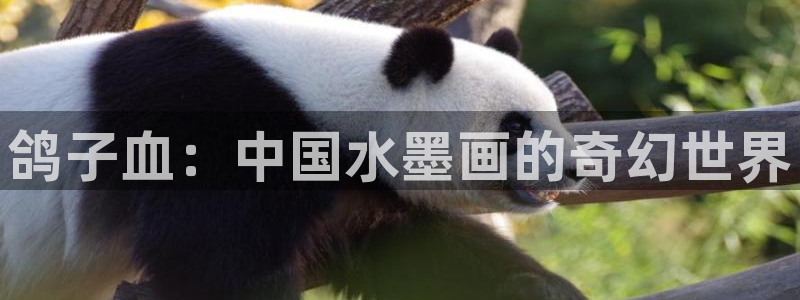 age动漫官网樱花动漫