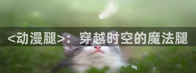 age动漫网