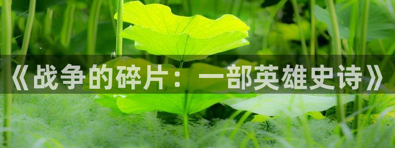 managereader漫画官网入口