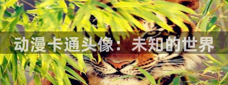 age动漫下载动漫全免费