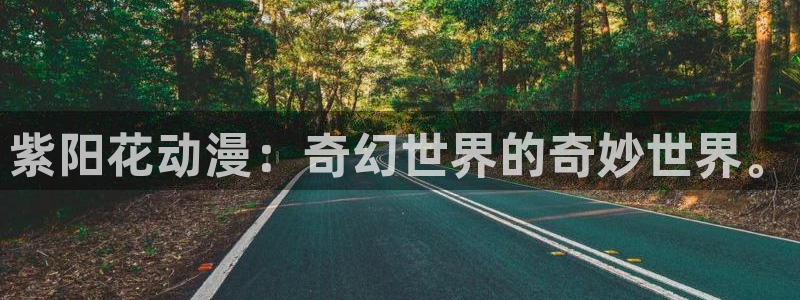 age动漫下载入口