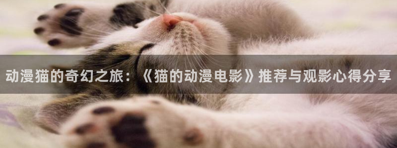 age动漫正版网