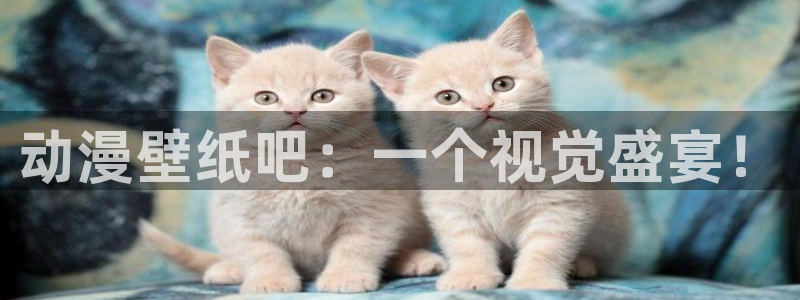 age动漫网上看