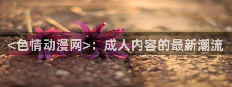 age专注动漫的门户网站