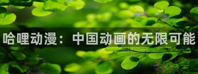 下载age动漫：哈哩动漫：中国动画的无限可能